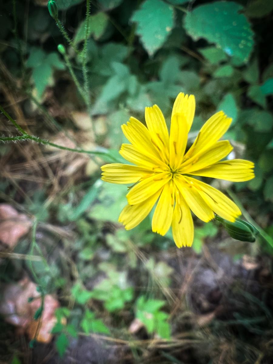 Welcome to Sacred Stretch Yoga